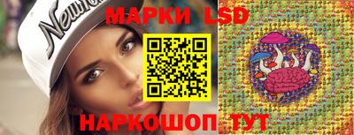 мяу мяу мука Баксан