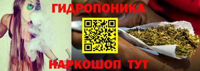 apvp Ачхой-Мартан