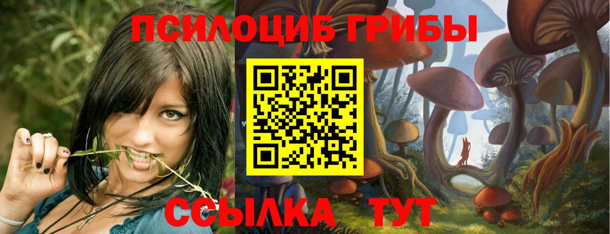 Псилоцибиновые грибы MAGIC MUSHROOMS Арзамас