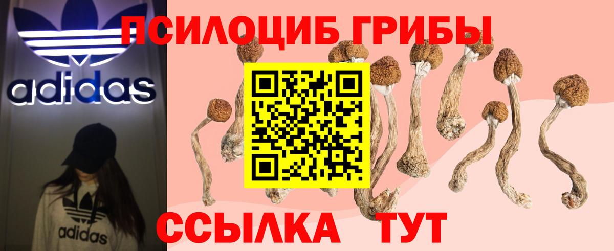 Арзамас  Псилоцибиновые грибы GOLDEN TEACHER  Вход с VPN  Псилоцибиновые грибы Psilocybe 